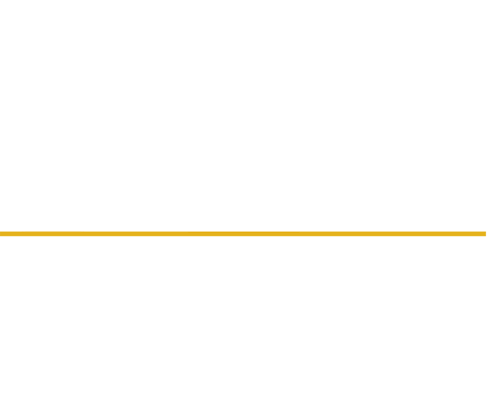 Marcelle Dove Virtual Assistant - Totnes Devon UK